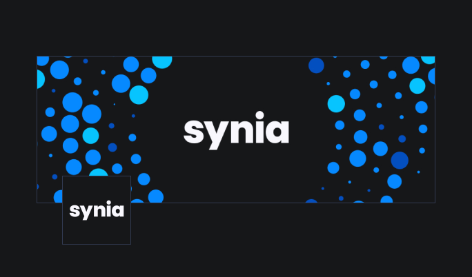 Synia assets preview from the original guide.