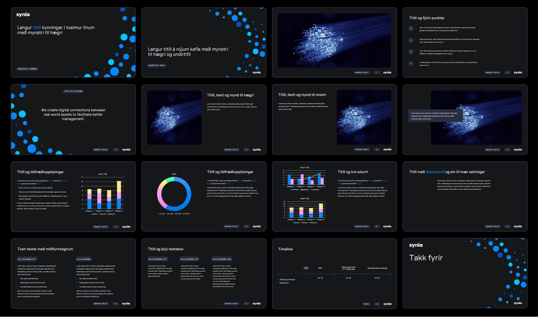 Overview of the Synia PowerPoint slide templates.