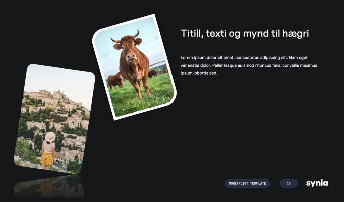 Incorrect Synia PowerPoint slide examples with irrelevant or altered photos.